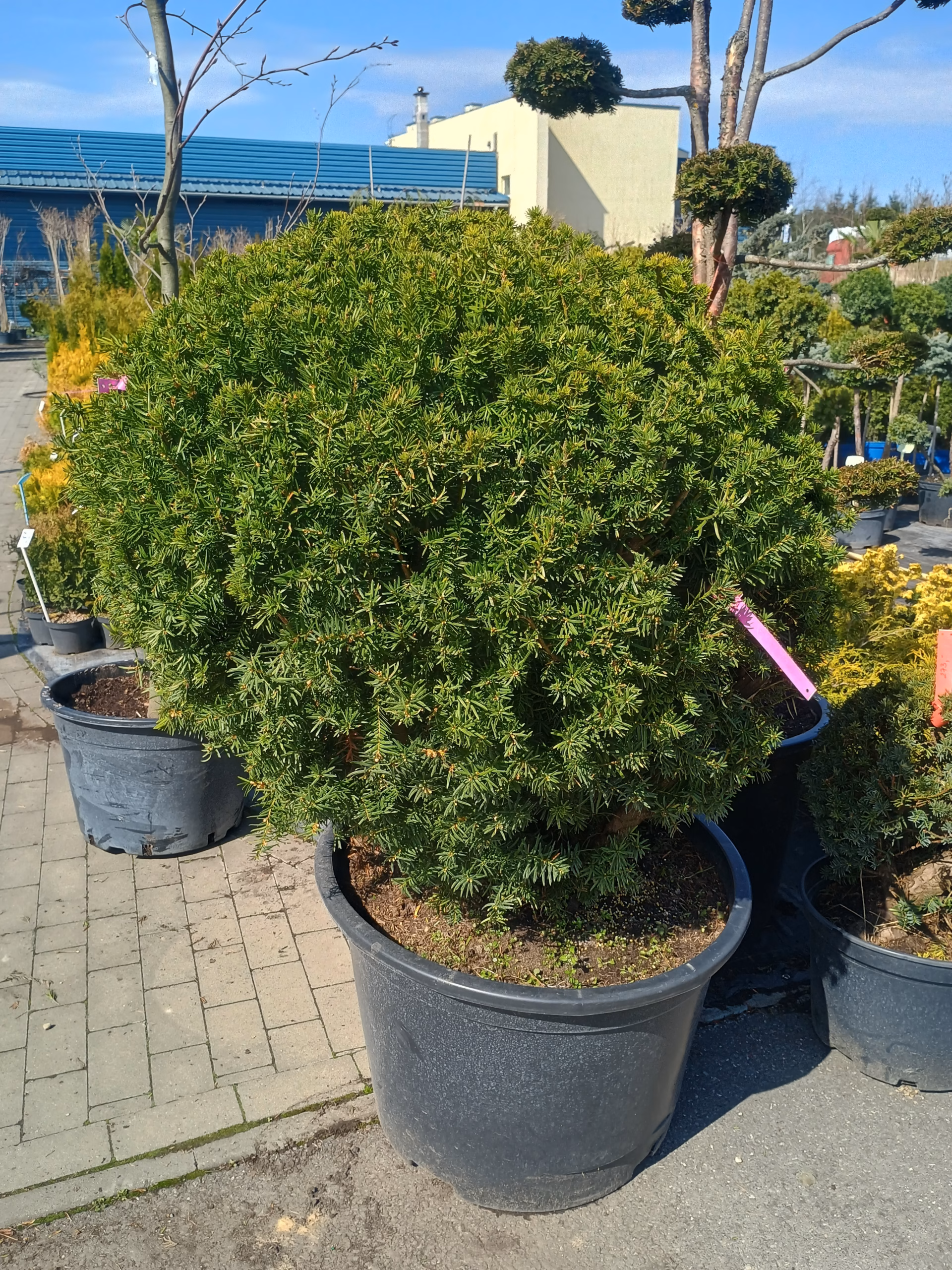 IMG_20260403_113516732_HDR